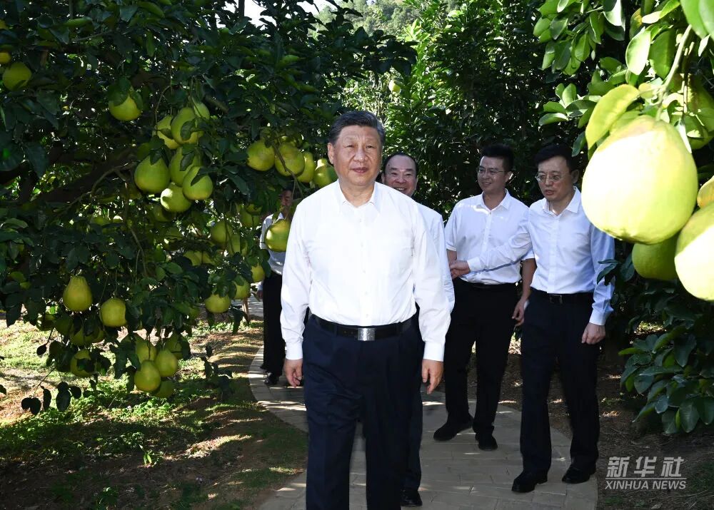 PP电子模拟器(试玩游戏)官方网站
