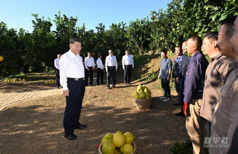 PP电子模拟器(试玩游戏)官方网站